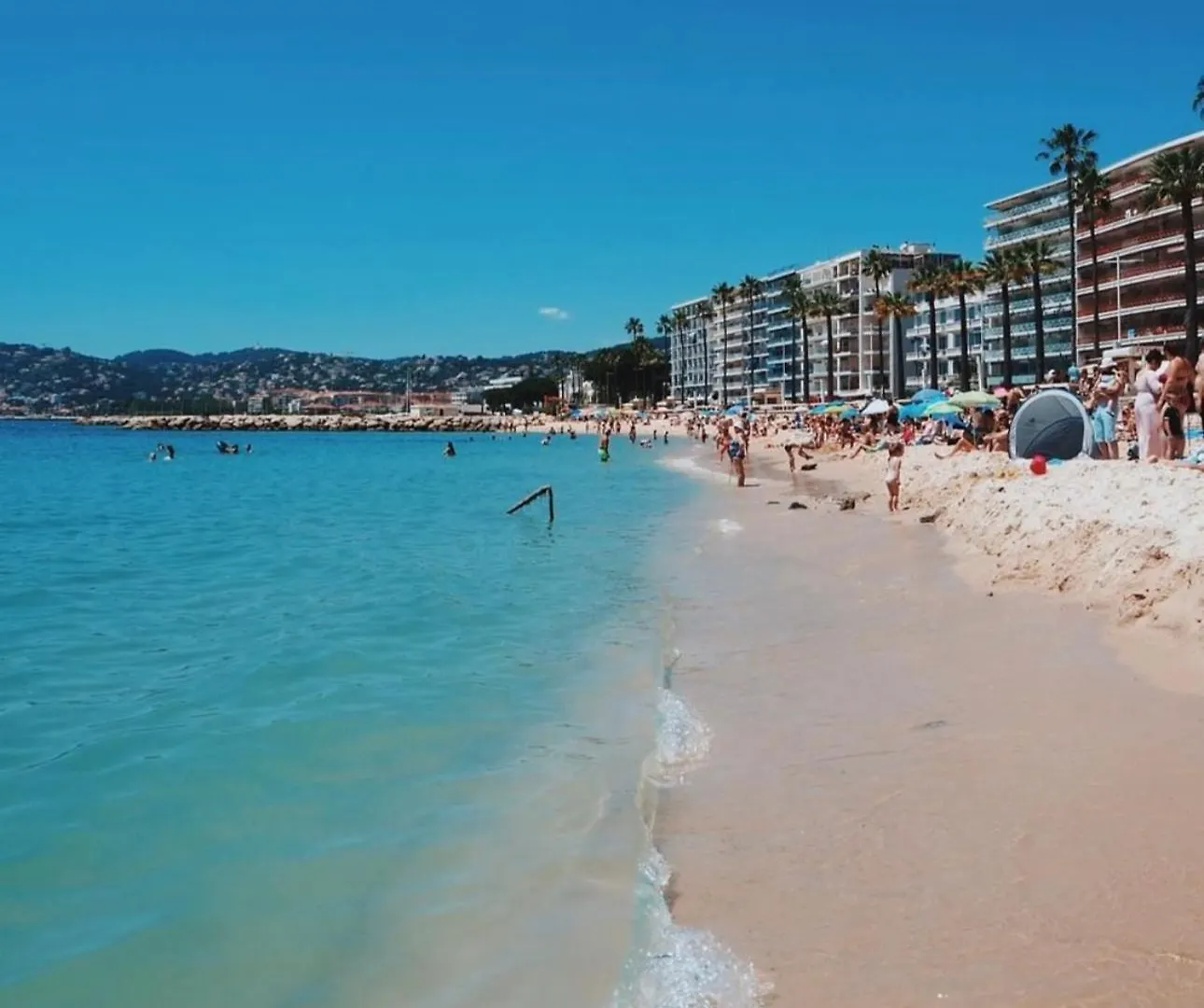 Magnifique Haut De Villa Chez Charlotte Antibes Apartment